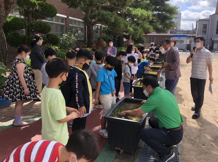 보도사진1(홍주초등학교, 모내기 체험활동 실시).jpg