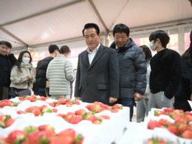 논산딸기축제, 전국서 손꼽히는 축제로 인정받아