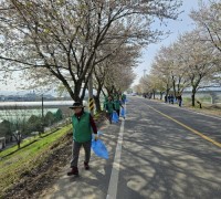 구룡 벚꽃길, 주민들이 만들어가는 지역 명소