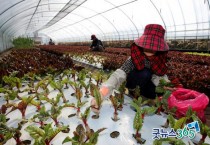 홍성군, 국내 최초 유기농특구로 지정