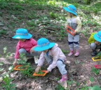 동부지방산림청, 안전 1등 산림교육 환경 만들기
