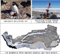 제42차 남극회의에서 신규 특별보호구역 지정 제안