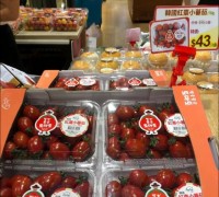 청양 토마토 코로나19 뚫고 홍콩 수출 ‘상종가’