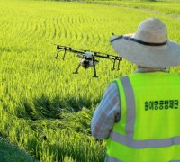 태안군의 벼 병해충 항공방제, ‘선진 디지털 농업’ 성공사례로